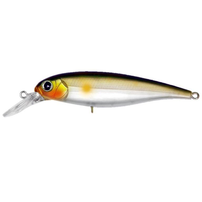 CHUBBY MINNOW 60MM F CMI 60F