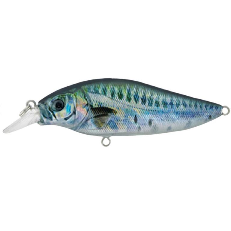 SHALLOW SHAD 80MM SSH 80F