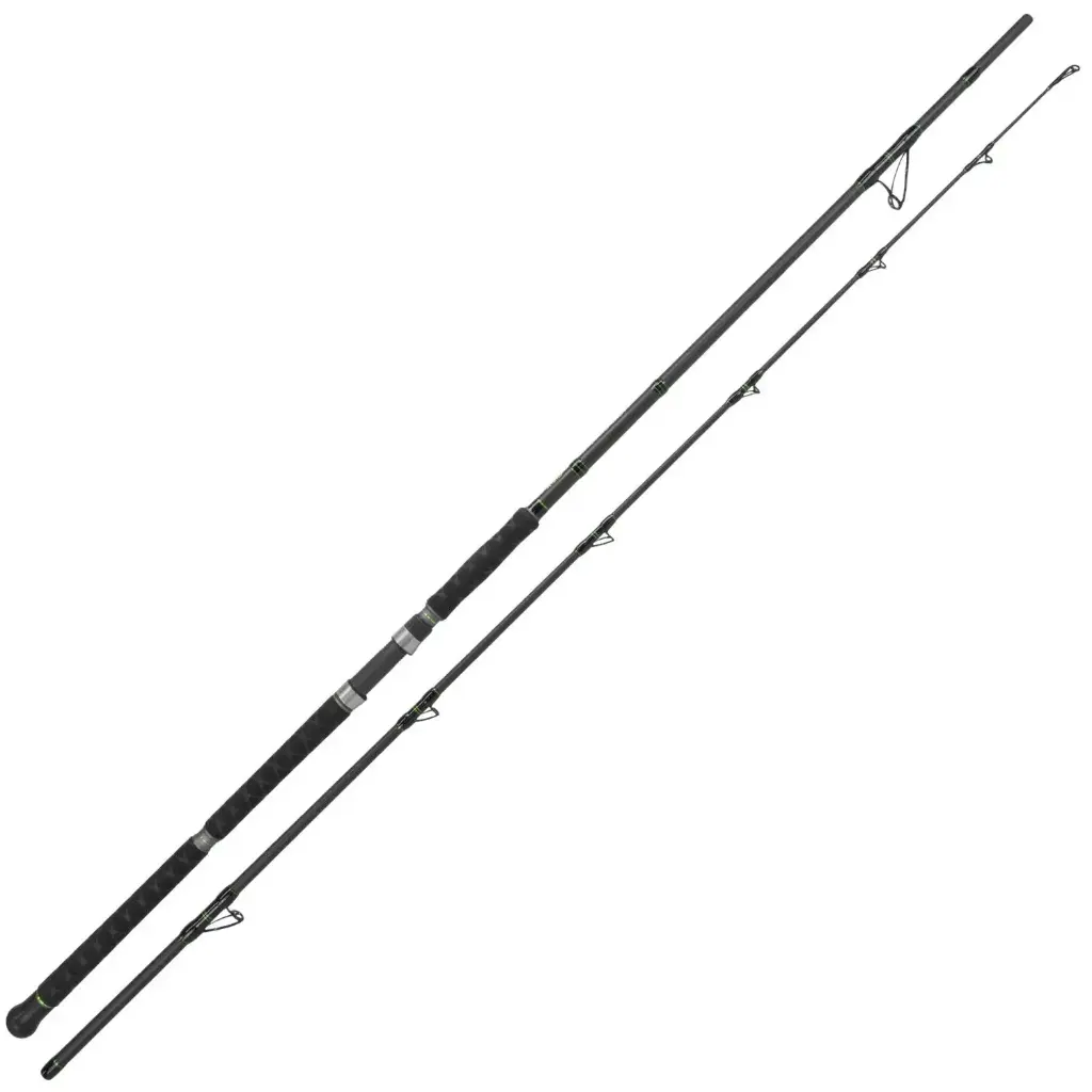 Catix Long Range Meerval hengel 3,10m 300-600g