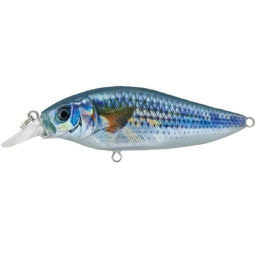 [324074005] SHALLOW SHAD 80MM SSH 80F